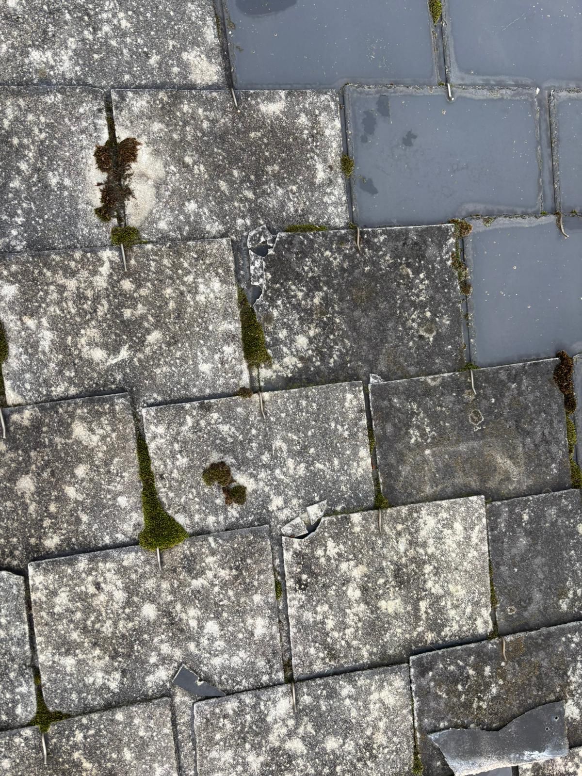 Traitement d'étanchéité sur une toiture en Lorraine